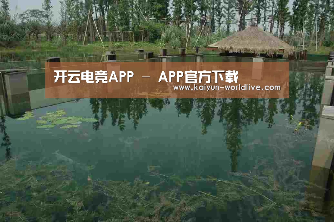 案例展示二(图1)