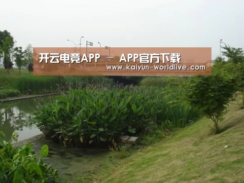 案例展示四