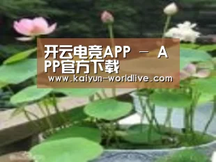 产品名称一