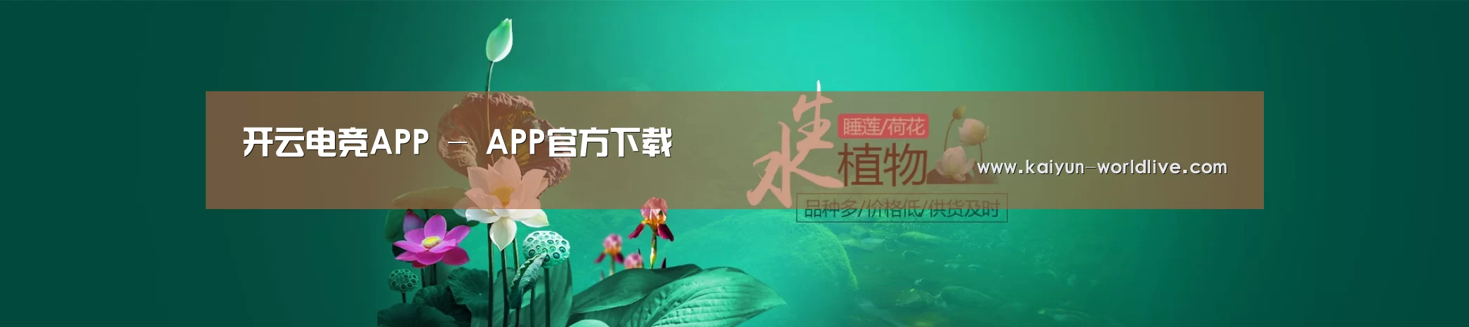 鲜花水草花卉网站模板