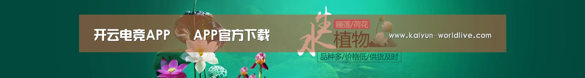 鲜花水草花卉网站模板