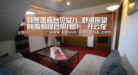 林熙蕾返台见女儿 舒淇探望BB发搞怪合照(图)- 开云在线娱乐(图4) 开云APP下载