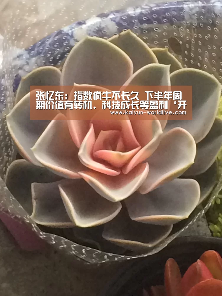 张忆东:指数疯牛不长久 下半年周期价值有转机、科技成长等盈利‘开云电竞APP’