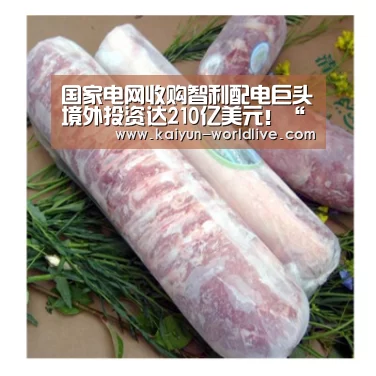 国家电网收购智利配电巨头境外投资达210亿美元!“开云电竞APP”(图2) 开云APP下载