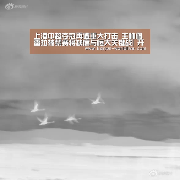 上港中超夺冠再遭重大打击 主帅佩雷拉被禁赛将缺席与恒大关键战| 开云APP下载(图1) 开云体育赛事直播